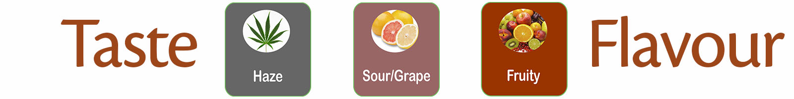 Silverfields taste profile from haze to fruity grape influences